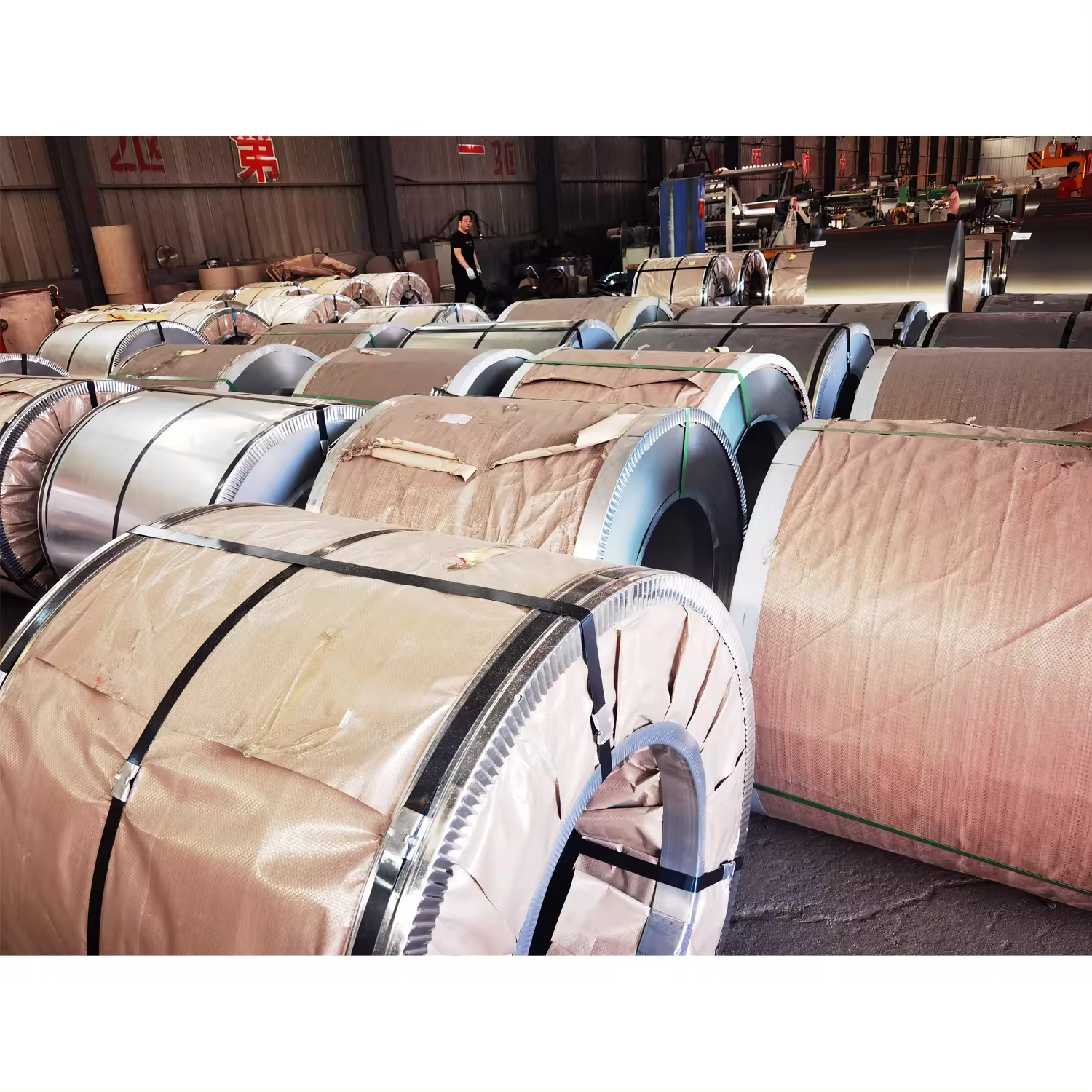 stainless steel coils